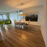 Rent 2 bedroom apartment of 80 m² in Eindhoven