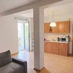 Rent 1 bedroom apartment in Beroun