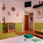 Rent 1 bedroom apartment of 35 m² in Roma