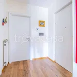 Rent 3 bedroom apartment of 118 m² in Roma