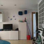 Rent 1 bedroom apartment in Murcia']