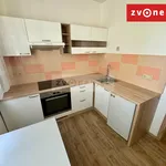 Rent 1 bedroom apartment in Zlín