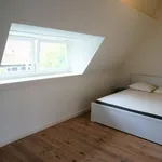 Rent 3 bedroom apartment of 110 m² in Amsterdam