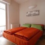 Rent 1 bedroom apartment in Bologna