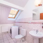 Rent 1 bedroom apartment of 25 m² in Prague