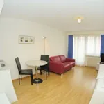 Rent 1 bedroom apartment of 30 m² in Zürich