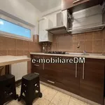 Rent 1 bedroom apartment in Bragadiru