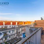 Rent 5 bedroom apartment of 130 m² in Stadionbuurt