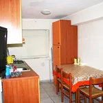 Rent 2 bedroom apartment of 65 m² in catania