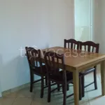 Rent 2 bedroom apartment of 50 m² in Frosinone