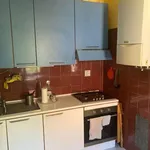 Rent 3 bedroom apartment of 80 m² in Bologna