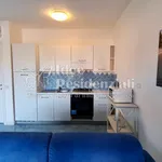 Rent 2 bedroom apartment of 70 m² in Palau