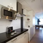 Professor J.H Bavincklaan, Amstelveen - Amsterdam Apartments for Rent