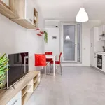 Rent 1 bedroom apartment in milan