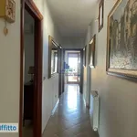 Rent 3 bedroom apartment of 100 m² in Catania