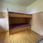 Rent 1 bedroom apartment of 50 m² in san vito di cadore