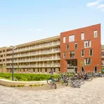 Rent 2 bedroom apartment of 66 m² in Leiden