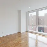 Rent 1 bedroom apartment in Queens