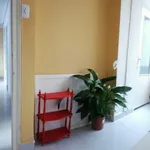 Rent 3 bedroom apartment in Valencia