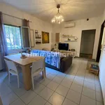 Rent 3 bedroom apartment of 100 m² in Modena