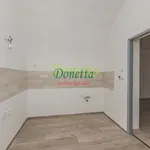 Pronájem bytu 1+1, 45 m2, po rekonstrukci, Dobruška