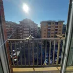 Rent 3 bedroom apartment of 92 m² in Roma