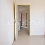 Rent 2 bedroom apartment of 55 m² in Montecatini-Terme