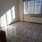 Rent 3 bedroom apartment of 75 m² in Casale Monferrato