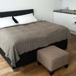 Studio o rozloze 40 m² v prague