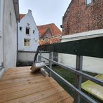 Rent 2 bedroom apartment of 89 m² in Laarstraat en omgeving