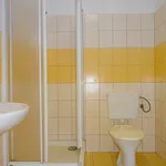 Rent 1 bedroom apartment in Nový Jičín