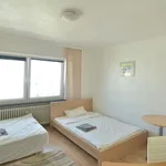 Miete 1 Schlafzimmer wohnung von 29 m² in Frankfurt