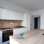 Pronájem bytu 3+kk,  68m2,ul.Ruska,Teplice