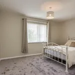 Rent 3 bedroom house in Lisburn