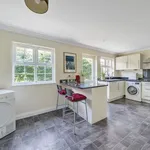 Rent 3 bedroom house in Waverley