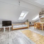 Rent 1 bedroom apartment of 45 m² in Plzeň