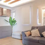 Rent 1 bedroom apartment in madrid