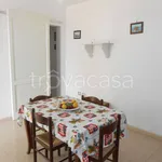 Rent 3 bedroom apartment of 80 m² in Castrignano del Capo