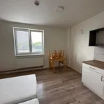 Rent 1 bedroom apartment in Brno