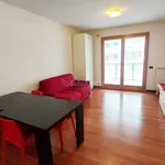 Rent 1 bedroom apartment of 40 m² in Roma