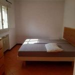 Affitto 1 camera appartamento di 55 m² in Modena
