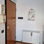 Rent 2 bedroom apartment of 45 m² in Perugia