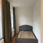 Miete 1 Schlafzimmer wohnung von 43 m² in Dresden