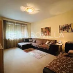 Rent 1 bedroom apartment in City of Zagreb