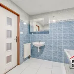 Rent 1 bedroom apartment in Nový Jičín