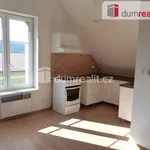 Rent 1 bedroom apartment in Ústí nad Labem