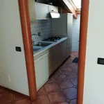 Rent 5 bedroom apartment of 100 m² in Bologna