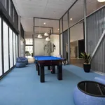 Rent 3 bedroom student apartment of 35 m² in South Brisbane