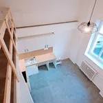 Rent 1 bedroom apartment of 25 m² in Děčín