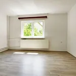 Pronájem bytu 1+1 45m²